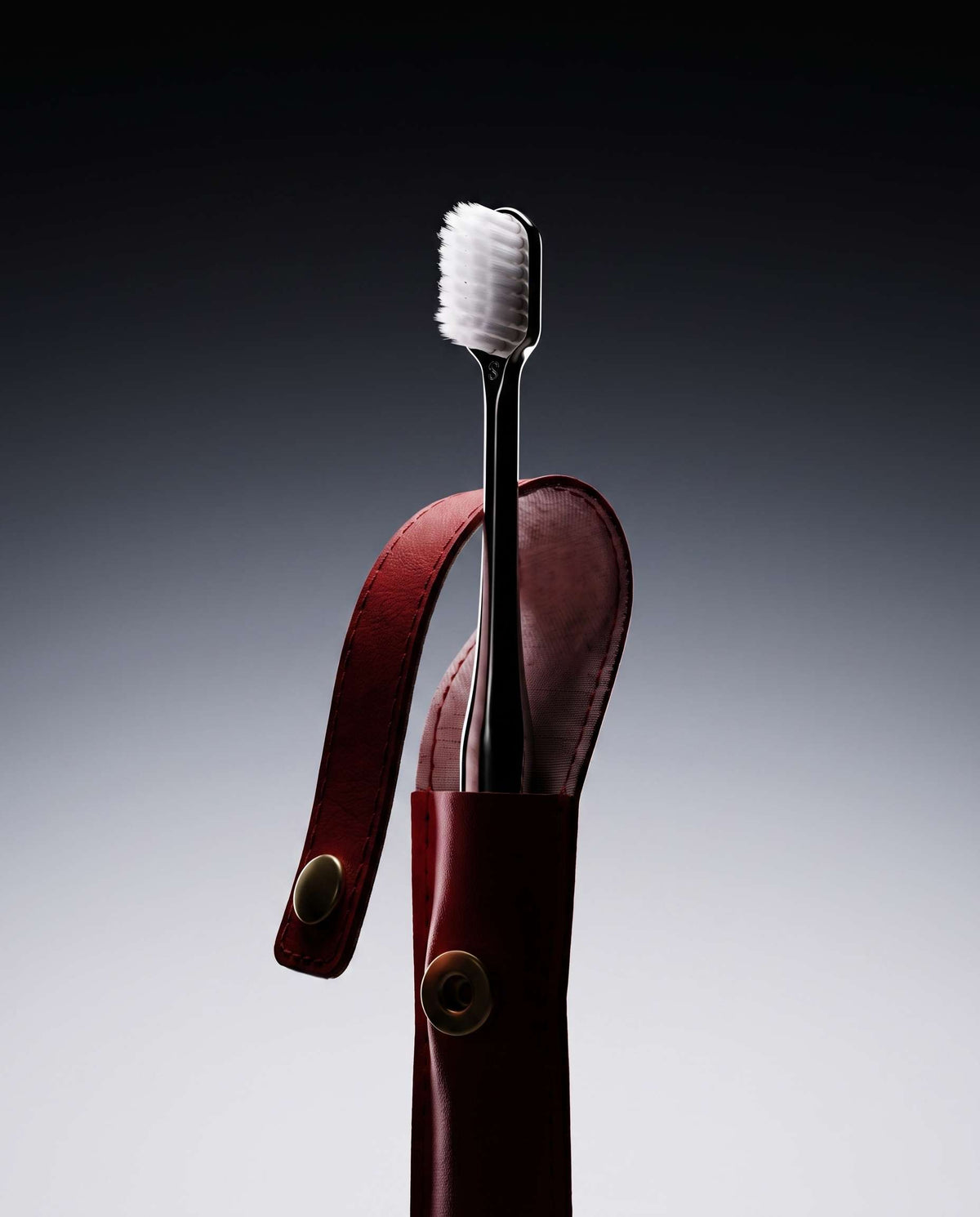 RED LEATHER CASE & SILVER TOOTHBRUSH