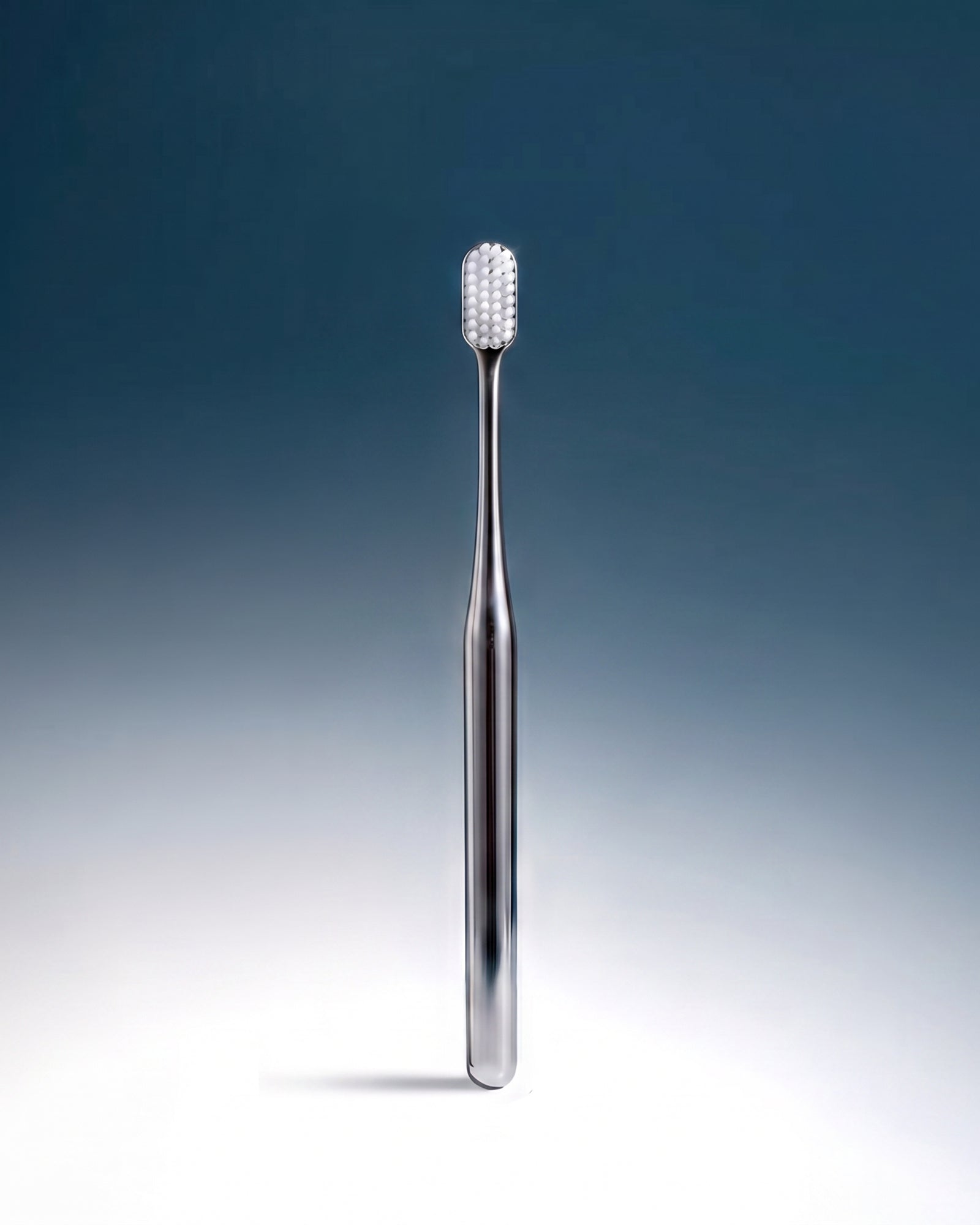 WHITE LEATHER CASE & SILVER TOOTHBRUSH