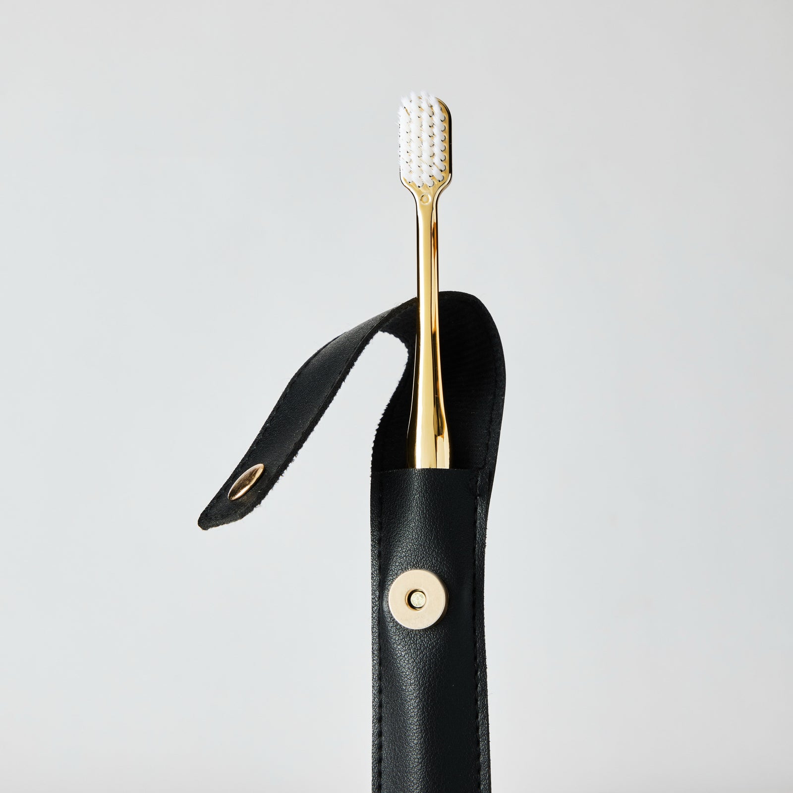 BLACK LEATHER CASE & GOLD TOOTHBRUSH