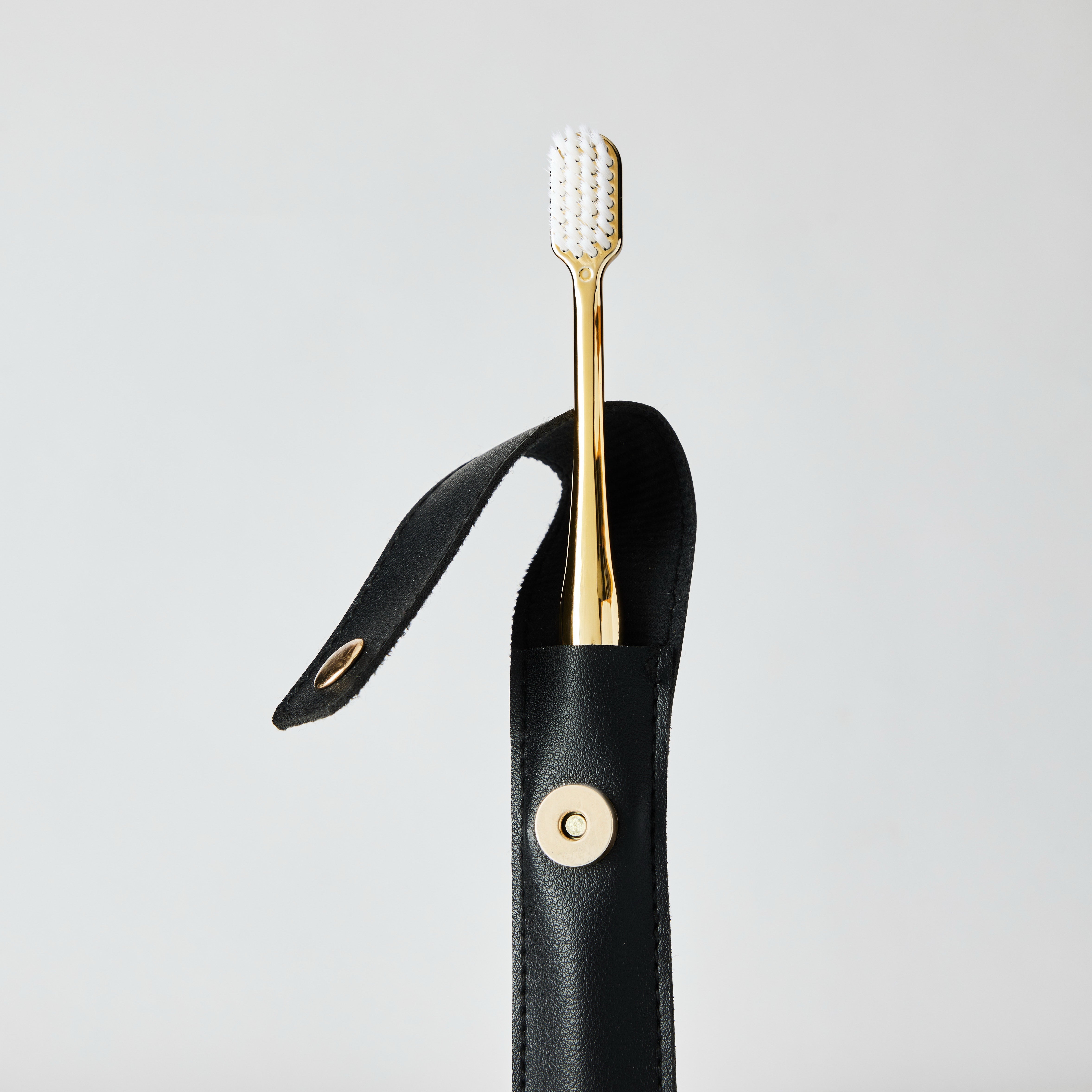 Black Leather Case & Gold Toothbrush